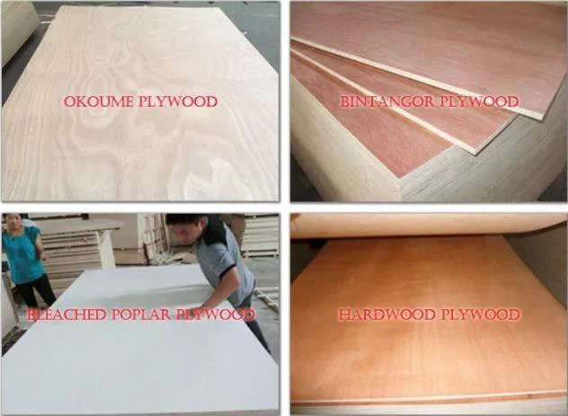 Commercial, Fancy Veneer Plywood