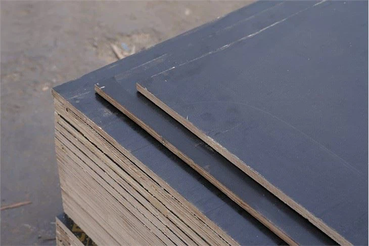 Film Faced Plywood Xingang Brand Full Hardwood Core