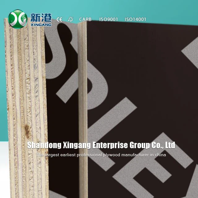 Marine Plywood Flm Faced Plywood 12mm 15mm 18mm Supplier Xingang
