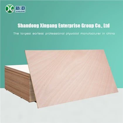 चीन में 8 मिमी बिर्च प्लाईवुड प्रदायक