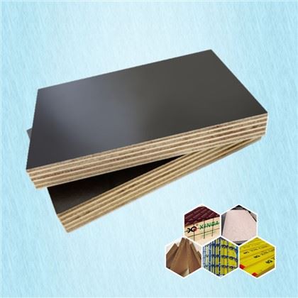 XG ब्राउन फिल्म लोगो के बिना प्लाईवुड का सामना करना पड़ा