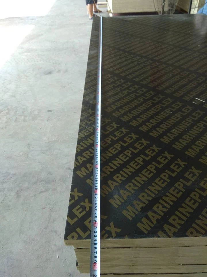 Xingang Film Faced Plywood For Construction